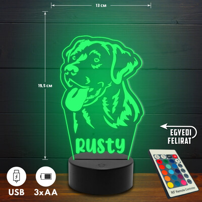 Labrador 3D Led lámpa - Egyedi felirattal