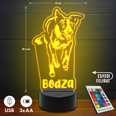 Border collie 3D Led lámpa - Egyedi felirattal