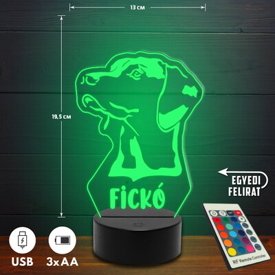 Vizsla 3D Led lámpa - Egyedi felirattal