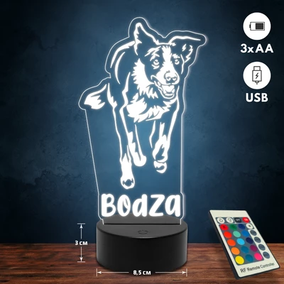 Border collie kutyás 3D Led lámpa