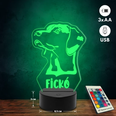 Vizsla kutyás 3D Led lámpa
