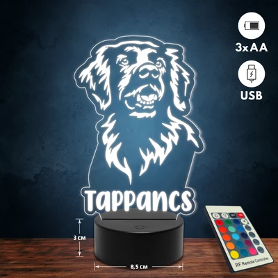 Golden retriever kutyás 3D Led lámpa