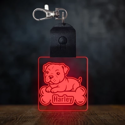 Amerikai pitbull terrier világító led kulcstartó - Egyedi felirattal