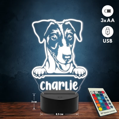 Fox terrier kutyás 3D Led lámpa